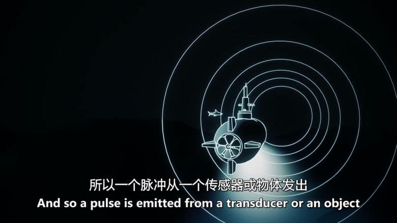 美国纪录片《水下不明飞行物 Transmedium: Fastmovers & USOs 2024》英语中英双字 无水印纯净版 不明水下飞行物插图4