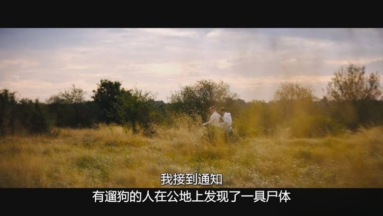 Netflix纪录片《蕾切尔·尼克尔谋杀案 The Murder of Rachel Nickell 2026》英语多国字幕 无水印纯净版 1080P/MKV/3.76G 英国真实犯罪插图5 Netflix纪录片《蕾切尔·尼克尔谋杀案 The Murder of Rachel Nickell 2026》英语多国字幕 无水印纯净版 1080P/MKV/3.76G 英国真实犯罪插图5
