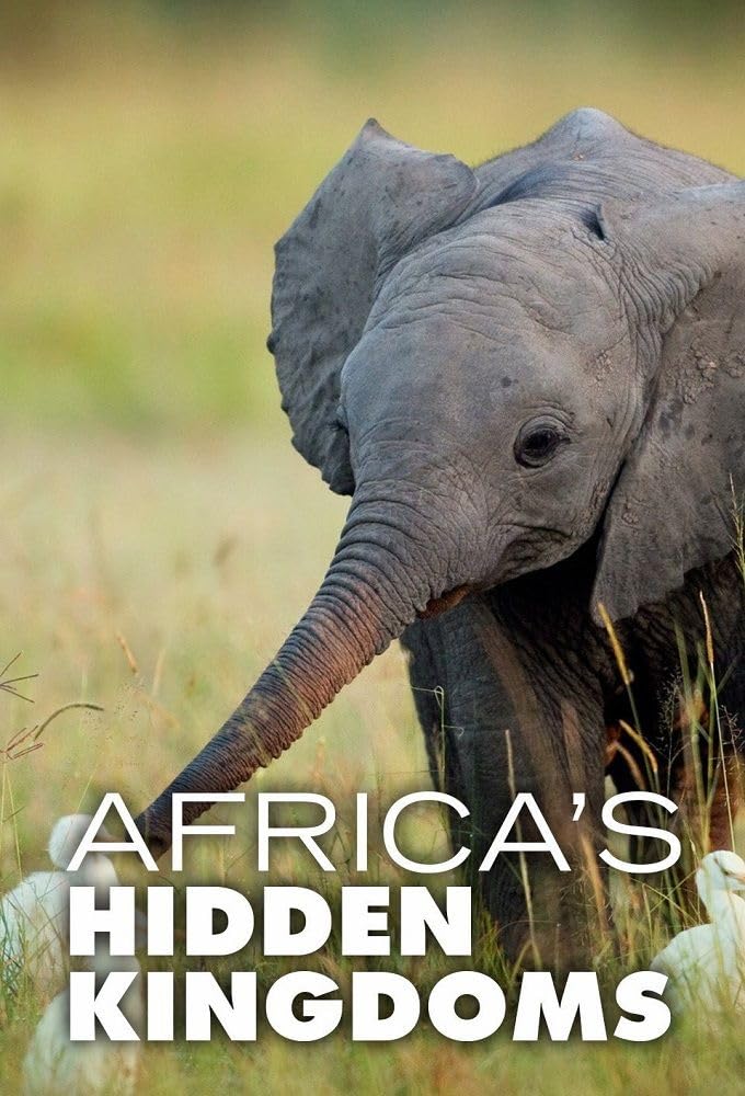史密森尼频道《非洲隐藏的王国 Africa’s Hidden Kingdoms 2015》第一季全6集 英语中英双字 无水印纯净版 1080P/MKV/16.6G 非洲生态系统插图 史密森尼频道《非洲隐藏的王国 Africa’s Hidden Kingdoms 2015》第一季全6集 英语中英双字 无水印纯净版 1080P/MKV/16.6G 非洲生态系统插图