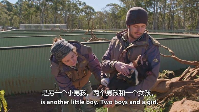 ABC纪录片《野火之后 After the Wildfires 2020》英语中英双字 无水印纯净版 1080P/MKV/859M 澳洲野火插图7 ABC纪录片《野火之后 After the Wildfires 2020》英语中英双字 无水印纯净版 1080P/MKV/859M 澳洲野火插图7