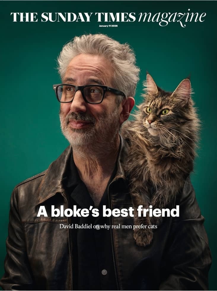 英国纪录片《大卫·巴迪尔:猫奴日记 David Baddiel: Cat Man 2026》全3集 英语中英双字 无水印纯净版 资深猫奴插图 英国纪录片《大卫·巴迪尔:猫奴日记 David Baddiel: Cat Man 2026》全3集 英语中英双字 无水印纯净版 资深猫奴插图