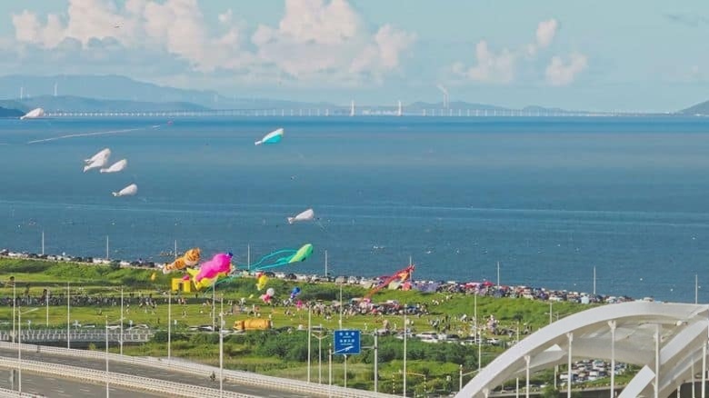 国产纪录片《航拍海岸线 Aerial Coastline 2024》第一季全6集 英语中英双字 无水印纯净版 中国海岸线地理插图5 国产纪录片《航拍海岸线 Aerial Coastline 2024》第一季全6集 英语中英双字 无水印纯净版 中国海岸线地理插图5