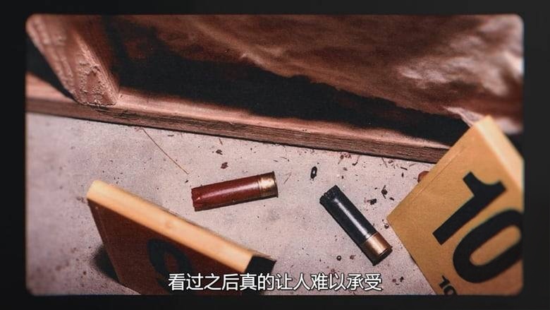 Netflix纪录片《亚历克斯·默多：未定罪疑云 Instadocs: Alex Murdaugh, Unconvicted 2026》英语多国字幕 无水印纯净版 1080P/MKV/1.16G 默多家族谋杀案插图2