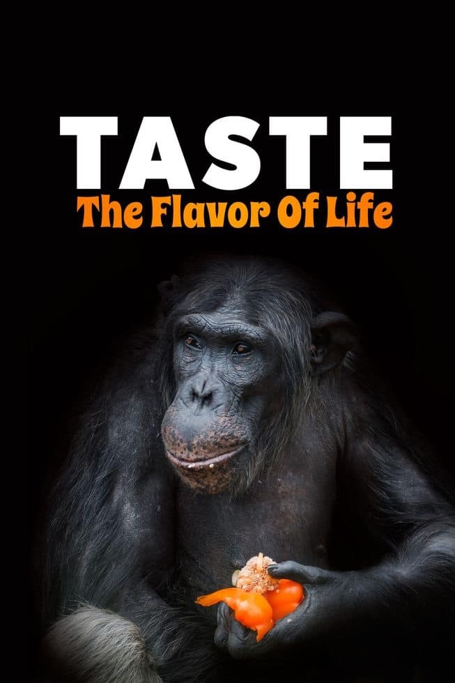 Curiosity纪录片《品味:生命之味 Taste: The Flavor of Life 2024》全2集 英语中英双字 无水印纯净版 味觉的奥秘插图 Curiosity纪录片《品味:生命之味 Taste: The Flavor of Life 2024》全2集 英语中英双字 无水印纯净版 味觉的奥秘插图