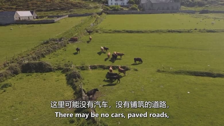 CH4纪录片《小岛人家 Our Tiny Islands 2026》第一季全4集 英语中英双字 无水印纯净版 1080P/MKV/6.67G 与自然共生插图8 CH4纪录片《小岛人家 Our Tiny Islands 2026》第一季全4集 英语中英双字 无水印纯净版 1080P/MKV/6.67G 与自然共生插图8