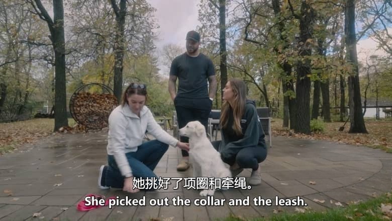 加拿大纪录片《爱狗人士 Must Love Dogs 2026》第一季全10集 英语中英双字 无水印纯净版 1080P/MKV/9.39G 治愈系宠物插图7 加拿大纪录片《爱狗人士 Must Love Dogs 2026》第一季全10集 英语中英双字 无水印纯净版 1080P/MKV/9.39G 治愈系宠物插图7