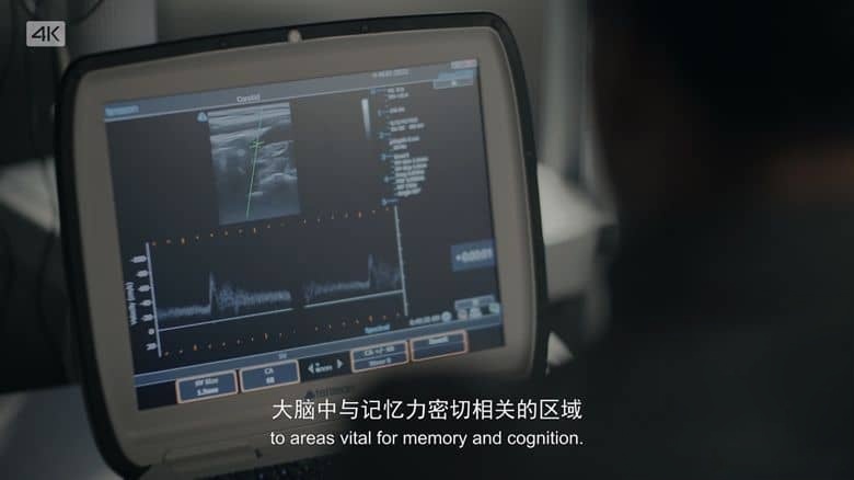 BBC纪录片《不可思议的人类 Secrets of the Superagers 2013》第一季全6集 国英双语中英双字 无水印纯净版 4K超清/2160P/MKV/62.1G 长寿的秘诀插图2 BBC纪录片《不可思议的人类 Secrets of the Superagers 2013》第一季全6集 国英双语中英双字 无水印纯净版 4K超清/2160P/MKV/62.1G 长寿的秘诀插图2