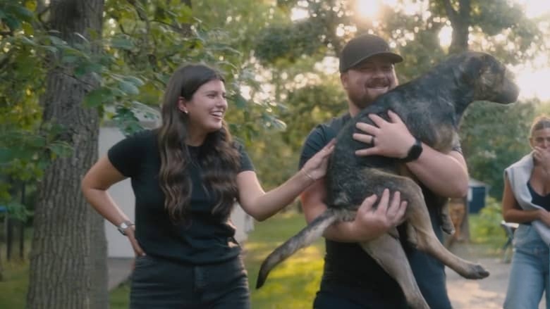 加拿大纪录片《爱狗人士 Must Love Dogs 2026》第一季全10集 英语中英双字 无水印纯净版 1080P/MKV/9.39G 治愈系宠物插图5 加拿大纪录片《爱狗人士 Must Love Dogs 2026》第一季全10集 英语中英双字 无水印纯净版 1080P/MKV/9.39G 治愈系宠物插图5