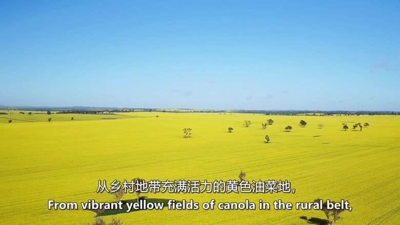 澳大利亚纪录片《天空之眼：澳大利亚 Eye in the Sky：Australia 2020》全2集 英语中英双字 无水印纯净版 鸟瞰澳大利亚插图1