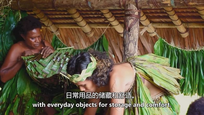 澳大利亚纪录片《瓦努阿图水上音乐的秘密 The Secrets of Vanuatu Water Music 2016》英语中英双字 无水印纯净版插图3 澳大利亚纪录片《瓦努阿图水上音乐的秘密 The Secrets of Vanuatu Water Music 2016》英语中英双字 无水印纯净版插图3