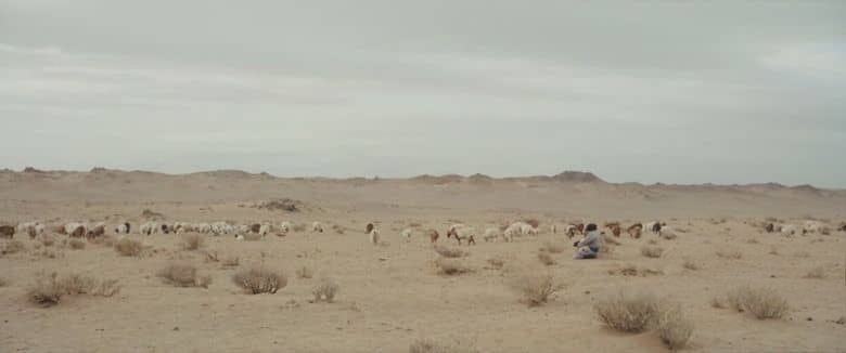 BBC纪录片《夜狼将至 The Wolves Always Come at Night 2025》蒙语无字 无水印纯净版 乌兰巴托真实故事插图3 BBC纪录片《夜狼将至 The Wolves Always Come at Night 2025》蒙语无字 无水印纯净版 乌兰巴托真实故事插图3