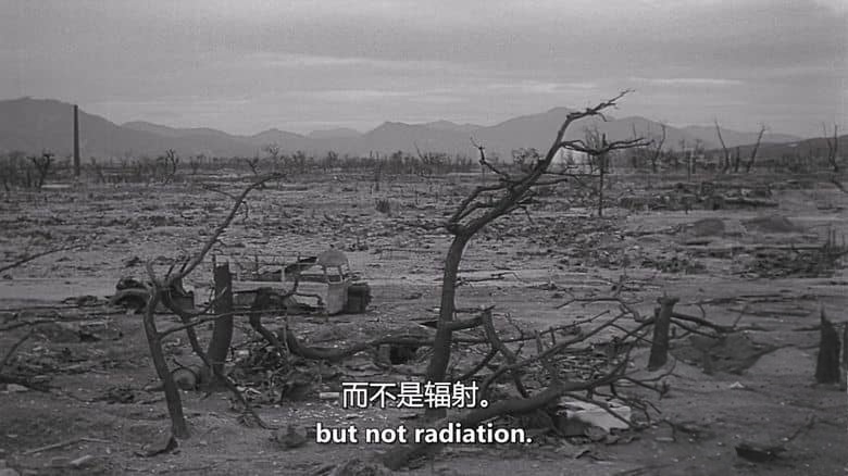 美国纪录片《中子弹:冷战中的致命平衡 The Neutron Bomb 2022》英语中英双字 无水印纯净版 核武中子弹插图3 美国纪录片《中子弹:冷战中的致命平衡 The Neutron Bomb 2022》英语中英双字 无水印纯净版 核武中子弹插图3