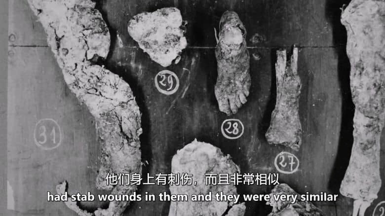 英国纪录片《战时犯罪 Wartime Crime 2017》全5集 英语中英双字 无水印纯净版 战时犯罪插图4