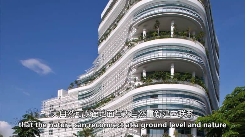 法国纪录片《全球尖端科学 Global Science 2020》全6集 英语中英双字 无水印纯净版 尖端科学插图4 法国纪录片《全球尖端科学 Global Science 2020》全6集 英语中英双字 无水印纯净版 尖端科学插图4