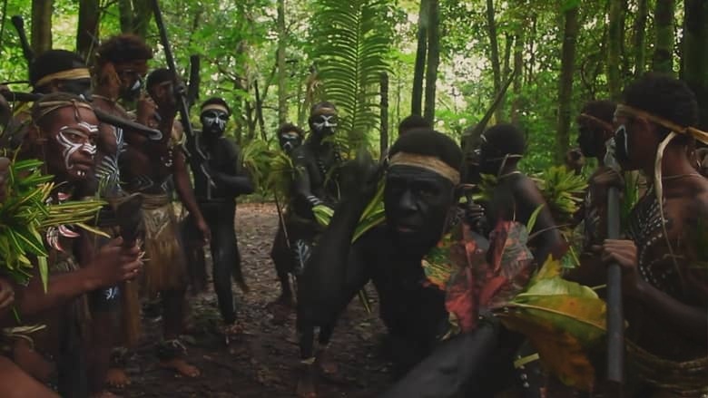 澳大利亚纪录片《瓦努阿图水上音乐的秘密 The Secrets of Vanuatu Water Music 2016》英语中英双字 无水印纯净版插图4 澳大利亚纪录片《瓦努阿图水上音乐的秘密 The Secrets of Vanuatu Water Music 2016》英语中英双字 无水印纯净版插图4