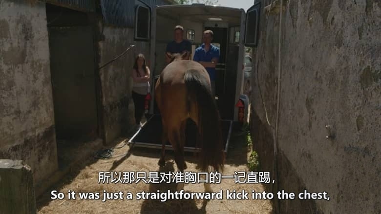 爱尔兰纪录片《生死一线：科克大学医院 Any Given Day: Cork University Hospital 2026》全6集 英语中英双字 无水印纯净版 爱尔兰医院插图4