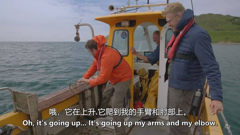 ITV纪录片《弗雷迪与杰森:荒野露营记 Freddie and Jason: Two Men in a Tent 2022》英语中英双字 无水印纯净版插图4 ITV纪录片《弗雷迪与杰森:荒野露营记 Freddie and Jason: Two Men in a Tent 2022》英语中英双字 无水印纯净版插图4