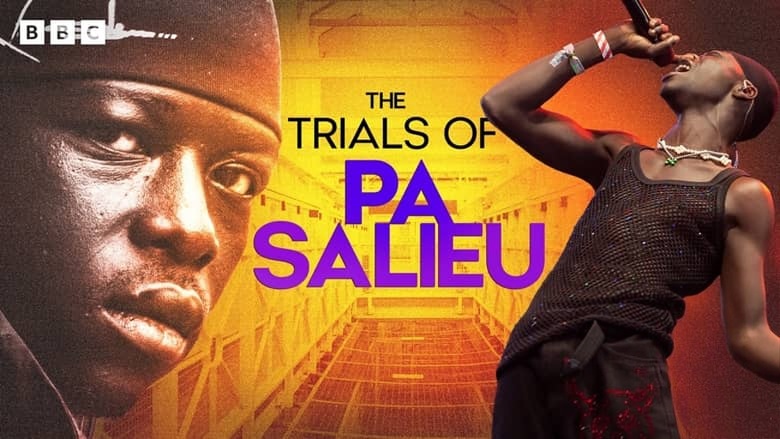 BBC纪录片《帕·萨利欧的考验 The Trials of Pa Salieu 2026》英语中英双字 无水印纯净版 出狱重建生活插图 BBC纪录片《帕·萨利欧的考验 The Trials of Pa Salieu 2026》英语中英双字 无水印纯净版 出狱重建生活插图