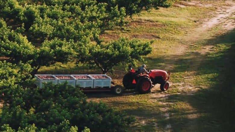 美国纪录片《食物浪费的故事 Wasted! The Story of Food Waste 2017》英语中字 无水印纯净版 浪费了的粮食插图1