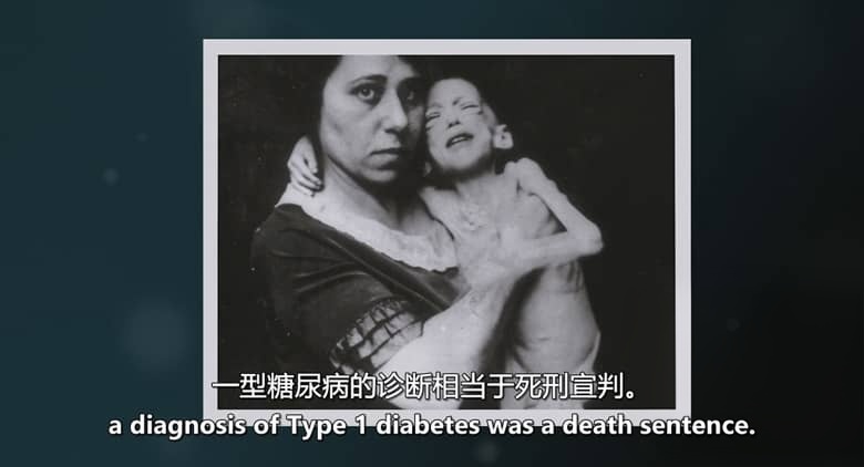 美国纪录片《胆固醇密码 The Cholesterol Code 2026》英语中英双字 无水印纯净版 食品健康纪录片插图2 美国纪录片《胆固醇密码 The Cholesterol Code 2026》英语中英双字 无水印纯净版 食品健康纪录片插图2