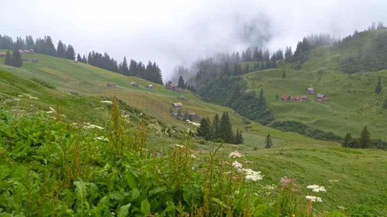 英国纪录片《阿尔卑斯山之最 Rick Steves’ Best of the Alps 2021》英语中英双字 无水印纯净版 徒步欧洲插图6 英国纪录片《阿尔卑斯山之最 Rick Steves’ Best of the Alps 2021》英语中英双字 无水印纯净版 徒步欧洲插图6