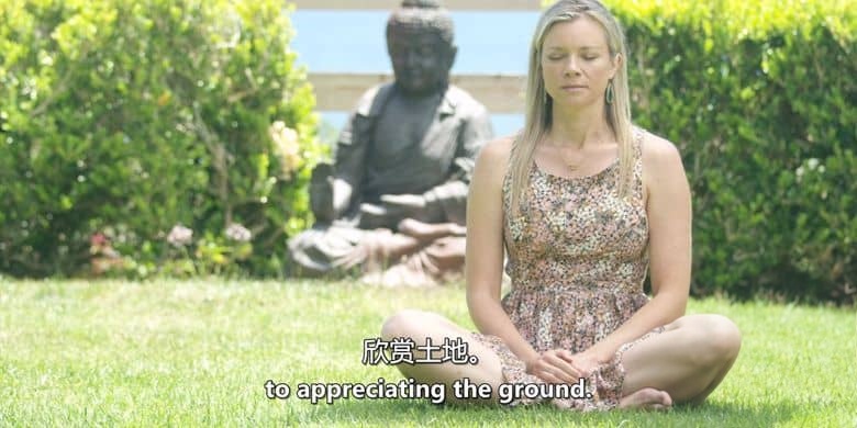 美国纪录片《接地气 The Earthing Movie 2019》英语中英双字 无水印纯净版 接触大地插图4 美国纪录片《接地气 The Earthing Movie 2019》英语中英双字 无水印纯净版 接触大地插图4