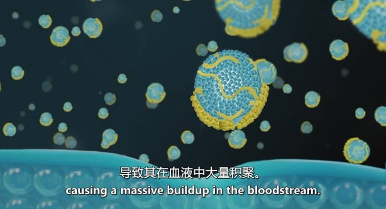 美国纪录片《胆固醇密码 The Cholesterol Code 2026》英语中英双字 无水印纯净版 食品健康纪录片插图3 美国纪录片《胆固醇密码 The Cholesterol Code 2026》英语中英双字 无水印纯净版 食品健康纪录片插图3