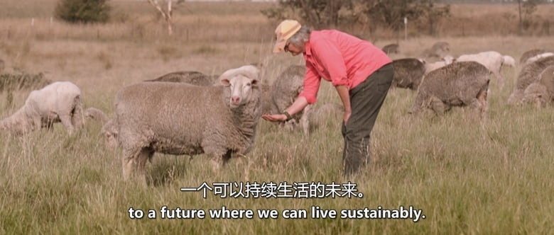 澳大利亚纪录片《绿色世界 All the World Is Green 2026》英语中英双字 无水印纯净版 气候危机插图5 澳大利亚纪录片《绿色世界 All the World Is Green 2026》英语中英双字 无水印纯净版 气候危机插图5