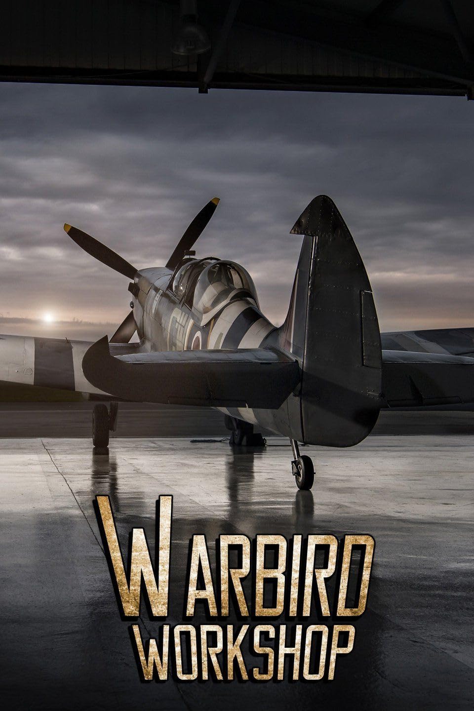 英国纪录片《战斗机工作室 Warbird Workshop 2020》第一季全6集 英语中英双字 无水印纯净版 战机修复插图 英国纪录片《战斗机工作室 Warbird Workshop 2020》第一季全6集 英语中英双字 无水印纯净版 战机修复插图
