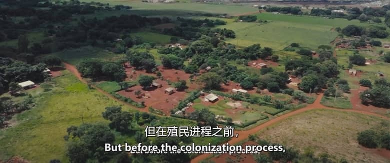 美国纪录片《大地之花 Flowers Of The Earth 2026》英语中英双字 无水印纯净版 文化守护插图1 美国纪录片《大地之花 Flowers Of The Earth 2026》英语中英双字 无水印纯净版 文化守护插图1