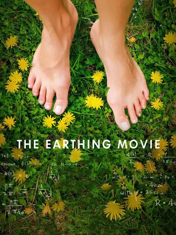 美国纪录片《接地气 The Earthing Movie 2019》英语中英双字 无水印纯净版 接触大地插图 美国纪录片《接地气 The Earthing Movie 2019》英语中英双字 无水印纯净版 接触大地插图
