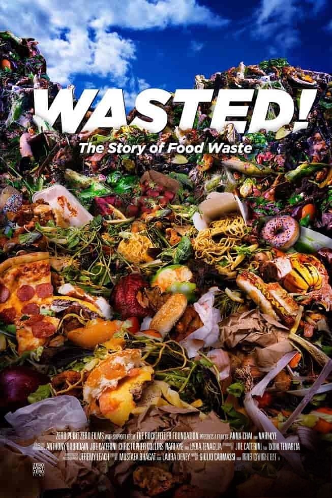 美国纪录片《食物浪费的故事 Wasted! The Story of Food Waste 2017》英语中字 无水印纯净版 浪费了的粮食插图