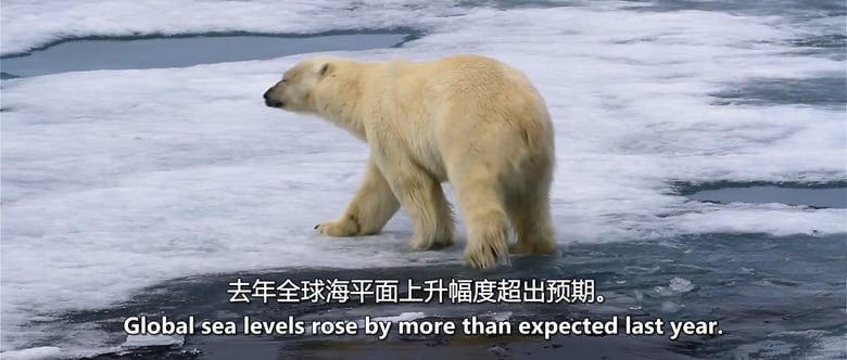 澳大利亚纪录片《绿色世界 All the World Is Green 2026》英语中英双字 无水印纯净版 气候危机插图7 澳大利亚纪录片《绿色世界 All the World Is Green 2026》英语中英双字 无水印纯净版 气候危机插图7