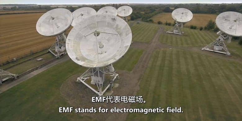 美国纪录片《接地气 The Earthing Movie 2019》英语中英双字 无水印纯净版 接触大地插图5 美国纪录片《接地气 The Earthing Movie 2019》英语中英双字 无水印纯净版 接触大地插图5