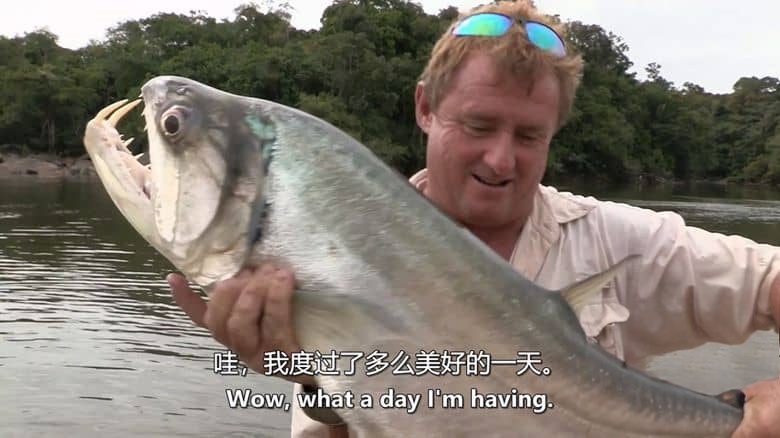 美国纪录片《亚马逊钓鱼探险 Fishing Expedition Amazonia 2018》第1-2季全14集 英语中英双字 无水印纯净版 亚马逊钓鱼插图3 美国纪录片《亚马逊钓鱼探险 Fishing Expedition Amazonia 2018》第1-2季全14集 英语中英双字 无水印纯净版 亚马逊钓鱼插图3