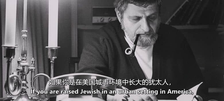 美国纪录片《帕迪·查耶夫斯基:文字收藏家 Paddy Chayefsky: Collector of Words 2025》英语中英双字 无水印纯净版 传奇编剧插图1 美国纪录片《帕迪·查耶夫斯基:文字收藏家 Paddy Chayefsky: Collector of Words 2025》英语中英双字 无水印纯净版 传奇编剧插图1
