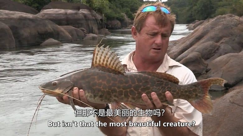 美国纪录片《亚马逊钓鱼探险 Fishing Expedition Amazonia 2018》第1-2季全14集 英语中英双字 无水印纯净版 亚马逊钓鱼插图2 美国纪录片《亚马逊钓鱼探险 Fishing Expedition Amazonia 2018》第1-2季全14集 英语中英双字 无水印纯净版 亚马逊钓鱼插图2