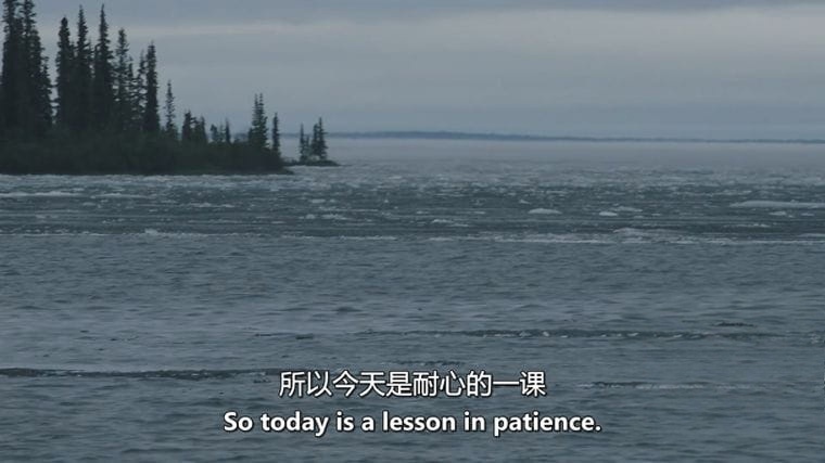 加拿大纪录片《独闯北极 Alone Across The Arctic 2019》英语中英双字 无水印纯净版 穿越北极插图2 加拿大纪录片《独闯北极 Alone Across The Arctic 2019》英语中英双字 无水印纯净版 穿越北极插图2