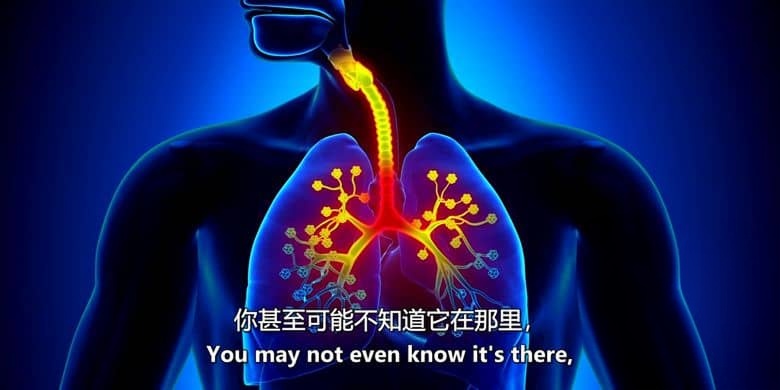 美国纪录片《接地气 The Earthing Movie 2019》英语中英双字 无水印纯净版 接触大地插图3 美国纪录片《接地气 The Earthing Movie 2019》英语中英双字 无水印纯净版 接触大地插图3