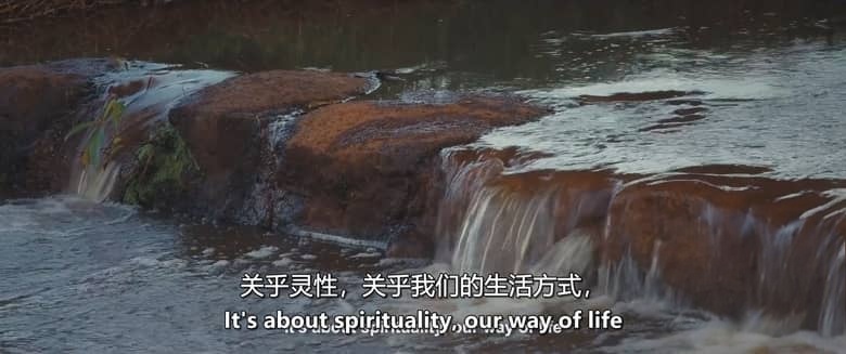 美国纪录片《大地之花 Flowers Of The Earth 2026》英语中英双字 无水印纯净版 文化守护插图5 美国纪录片《大地之花 Flowers Of The Earth 2026》英语中英双字 无水印纯净版 文化守护插图5