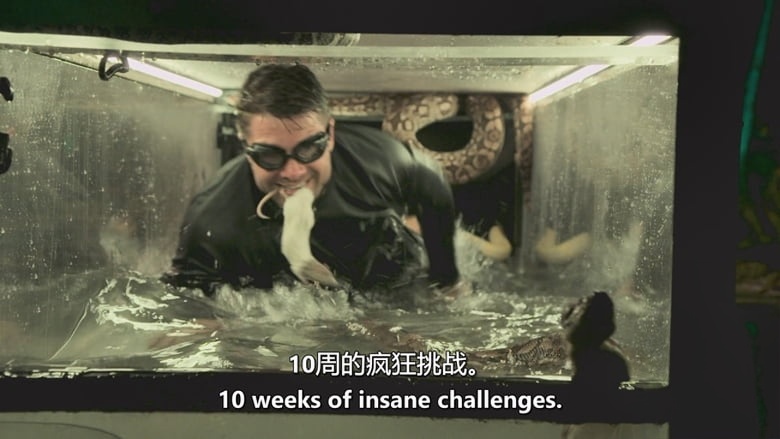 美国纪录片《恐惧因素:恐惧之屋 Fear Factor: House of Fear 2026》第一季全12集 英语中英双字 无水印纯净版 极限恐惧挑战插图1 美国纪录片《恐惧因素:恐惧之屋 Fear Factor: House of Fear 2026》第一季全12集 英语中英双字 无水印纯净版 极限恐惧挑战插图1