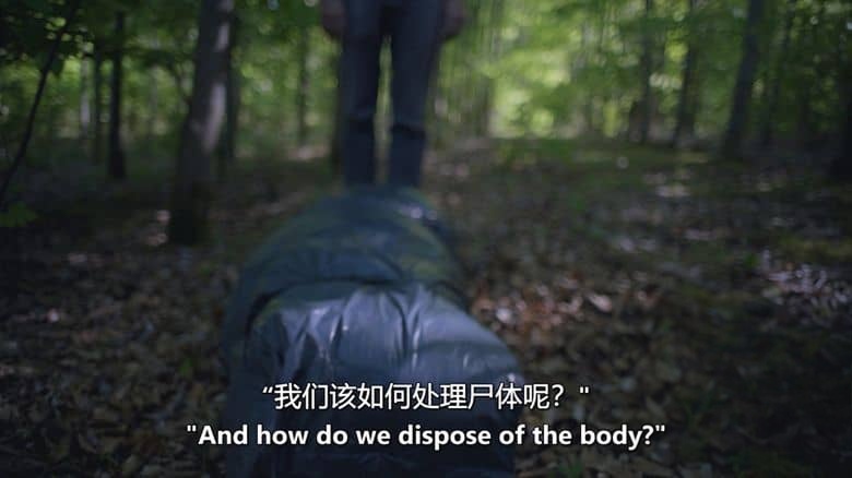 丹麦纪录片《马匹与刽子手 Horses and Hangmen 2025》全4集 英丹双语中英双字 无水印纯净版 离奇的死亡插图3
