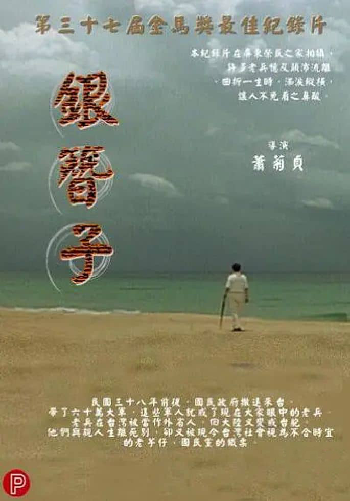 台湾纪录片《银簪子 Grandma’s Hairpin 2001》英语中英双字 无水印纯净版 海峡对岸的牵挂插图 台湾纪录片《银簪子 Grandma’s Hairpin 2001》英语中英双字 无水印纯净版 海峡对岸的牵挂插图