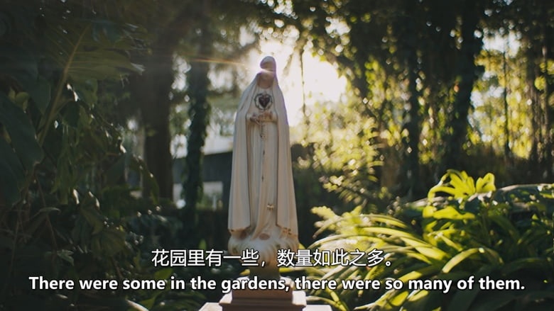HBO纪录片《信仰的奴仆：福音使者 Slaves of Faith: Heralds of the Gospel 2026》全3集 葡萄牙语中英双字 无水印纯净版 福音先驱会内幕插图2