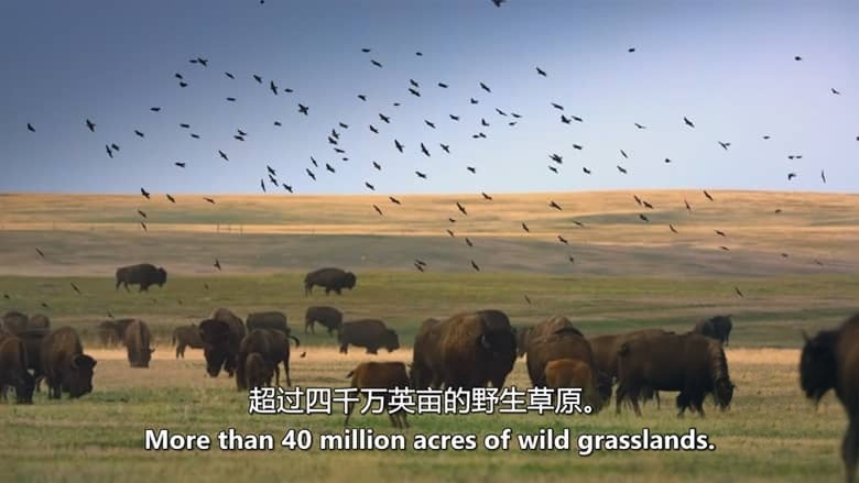 ITV纪录片《自然之力 Force of Nature 2026》全6集 英语中英双字 无水印纯净版 气候与动物插图2 ITV纪录片《自然之力 Force of Nature 2026》全6集 英语中英双字 无水印纯净版 气候与动物插图2