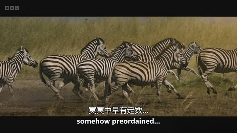 BBC纪录片《进化 Evolution 2026》全5集 英语中英双字 无水印纯净版 地球生命演化史诗插图2