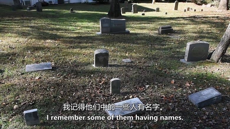 美国纪录片《克朗斯维尔医院：从疯狂到传奇 Crownsville Hospital: From Lunacy to Legacy 2018》英语中英双字 无水印纯净版 精神病院插图6