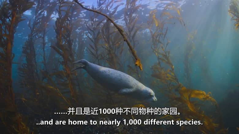 ITV纪录片《自然之力 Force of Nature 2026》全6集 英语中英双字 无水印纯净版 气候与动物插图5 ITV纪录片《自然之力 Force of Nature 2026》全6集 英语中英双字 无水印纯净版 气候与动物插图5
