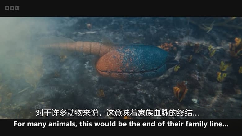 BBC纪录片《进化 Evolution 2026》全5集 英语中英双字 无水印纯净版 地球生命演化史诗插图6