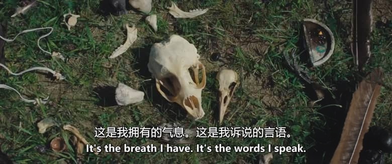 美国纪录片《SILA:万物之中的生命 SILA: The Life Within Everything 2026》英语中英双字 无水印纯净版 格陵兰殖民历史插图7 美国纪录片《SILA:万物之中的生命 SILA: The Life Within Everything 2026》英语中英双字 无水印纯净版 格陵兰殖民历史插图7